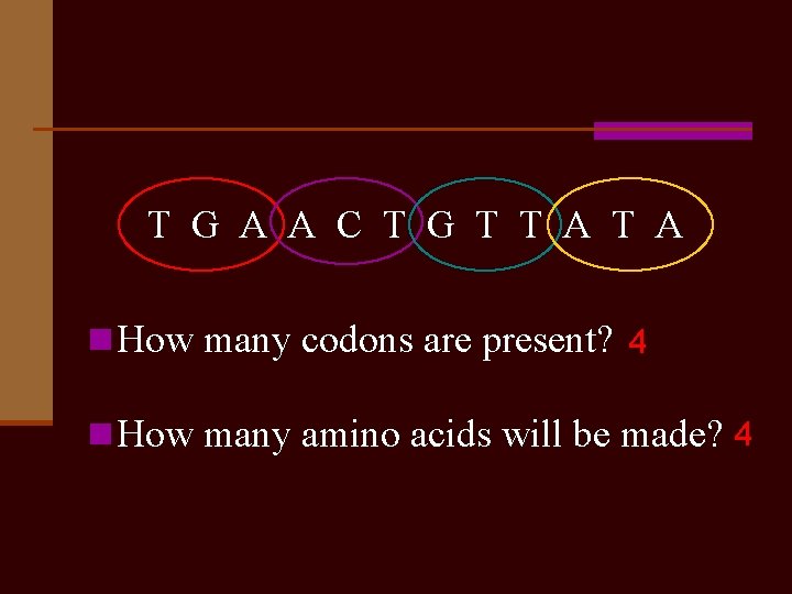 T G A A C T G T T A n How many codons