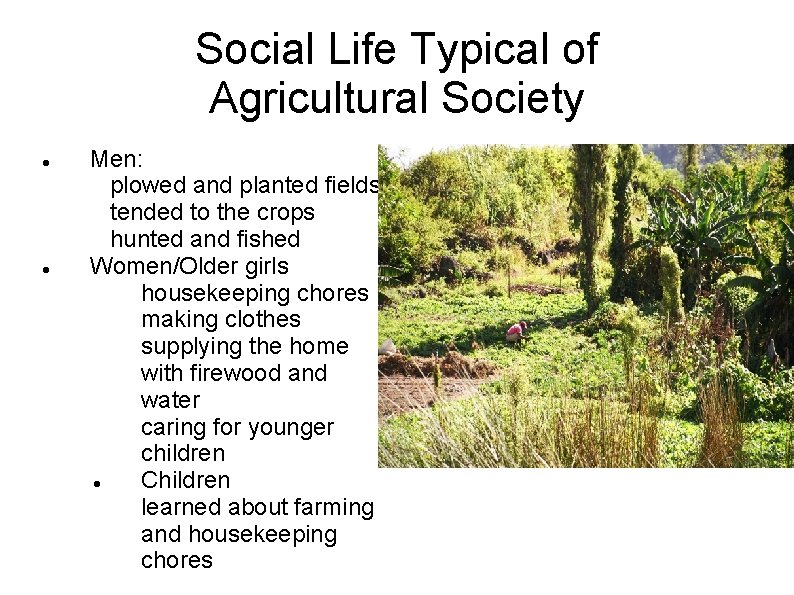 Social Life Typical of Agricultural Society Men: plowed and planted fields tended to the