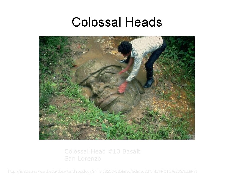 Colossal Heads Colossal Head #10 Basalt San Lorenzo http: //isis. csuhayward. edu/dbsw/anthropology/miller/3250/03 olmec/aolmec 2.