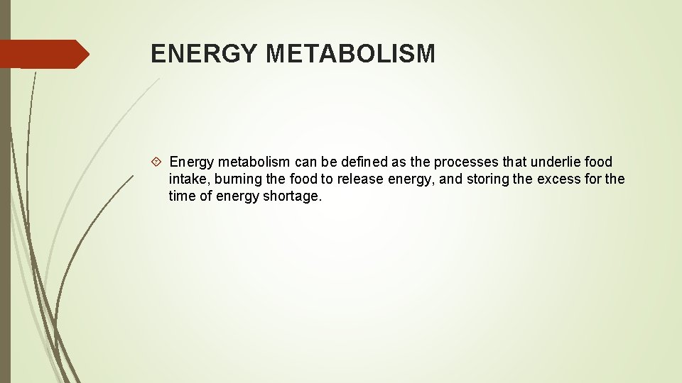 ENERGY METABOLISM Energy metabolism can be defined as the processes that underlie food intake,
