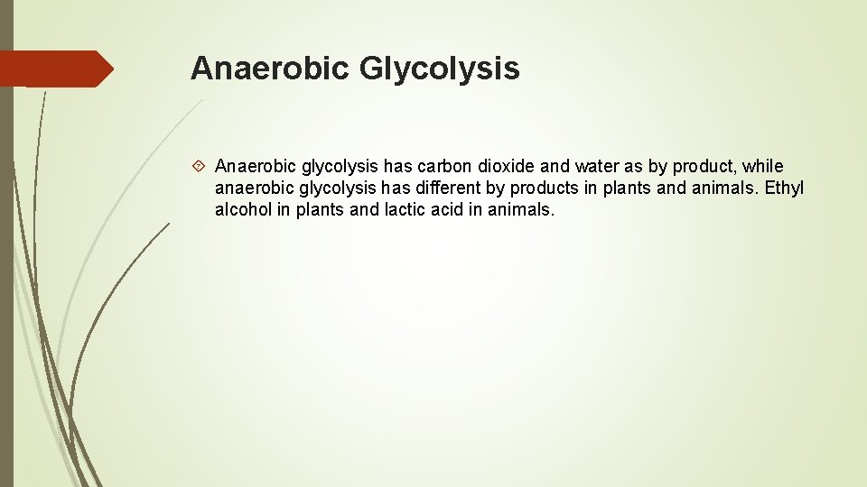 Anaerobic Glycolysis Anaerobic glycolysis has carbon dioxide and water as by product, while anaerobic