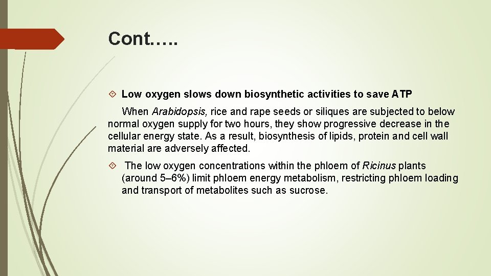 Cont. …. Low oxygen slows down biosynthetic activities to save ATP When Arabidopsis, rice