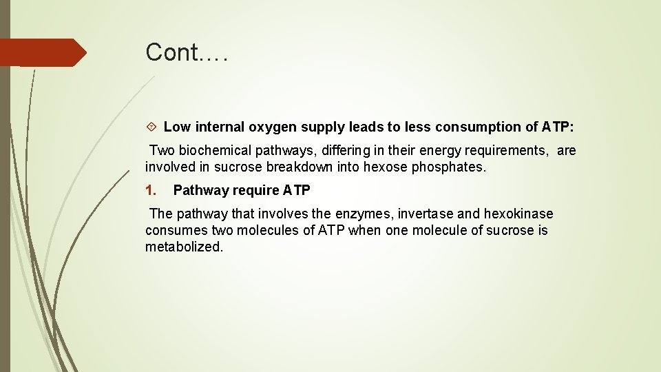 Cont…. Low internal oxygen supply leads to less consumption of ATP: Two biochemical pathways,