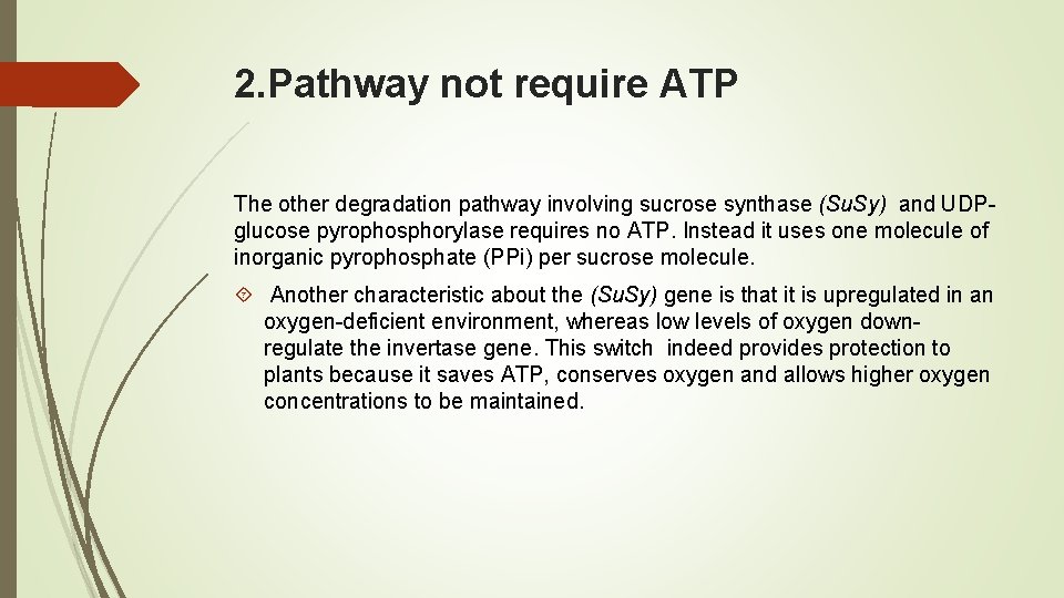 2. Pathway not require ATP The other degradation pathway involving sucrose synthase (Su. Sy)