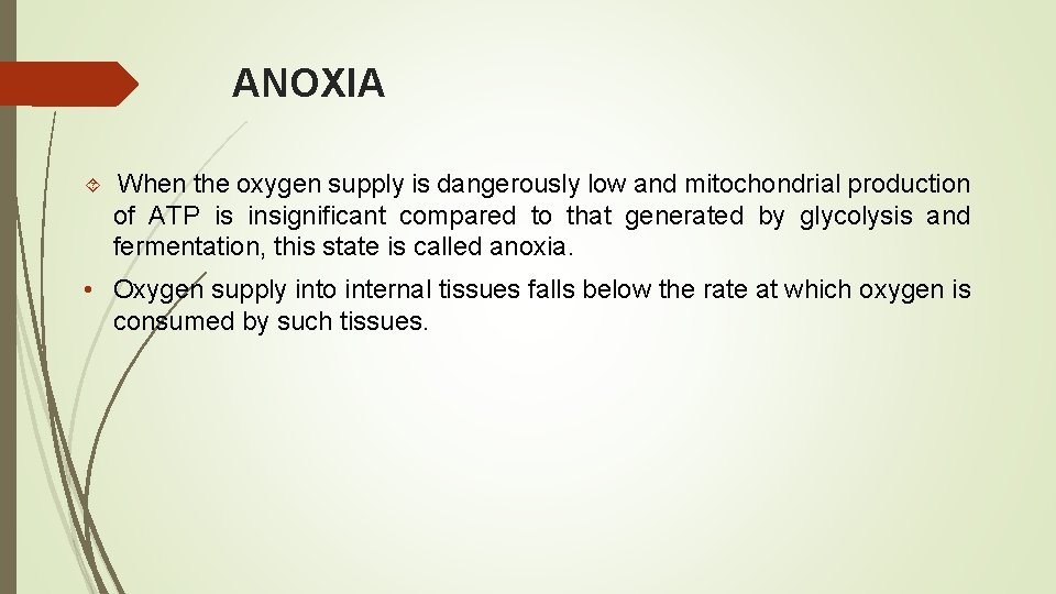 ENERGY METABOLISM IN PLANTS UNDER OXYGEN DEFICIENCY ENERGY