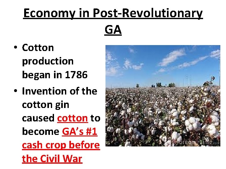 Economy in Post-Revolutionary GA • Cotton production began in 1786 • Invention of the