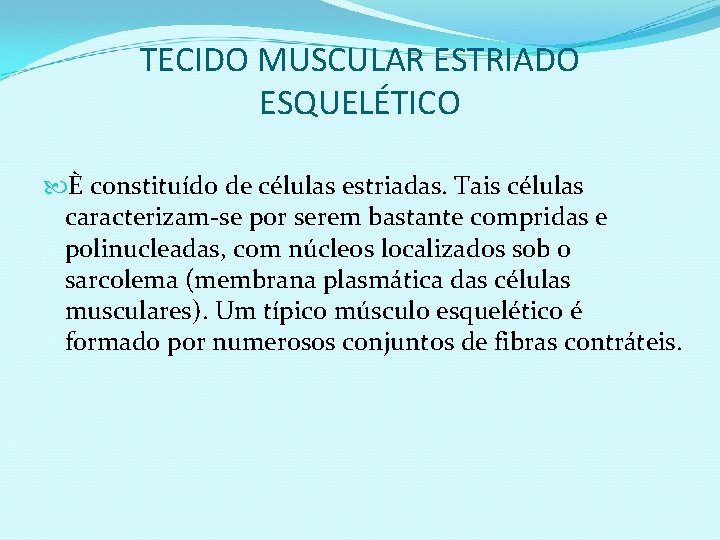 TECIDO MUSCULAR ESTRIADO ESQUELÉTICO È constituído de células estriadas. Tais células caracterizam-se por serem