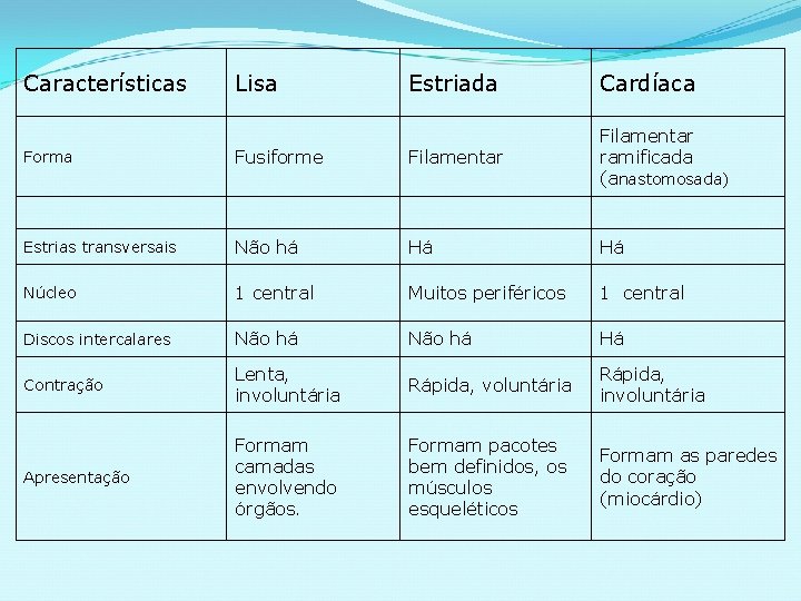 Características Lisa Estriada Cardíaca Forma Fusiforme Filamentar ramificada (anastomosada) Estrias transversais Não há Há