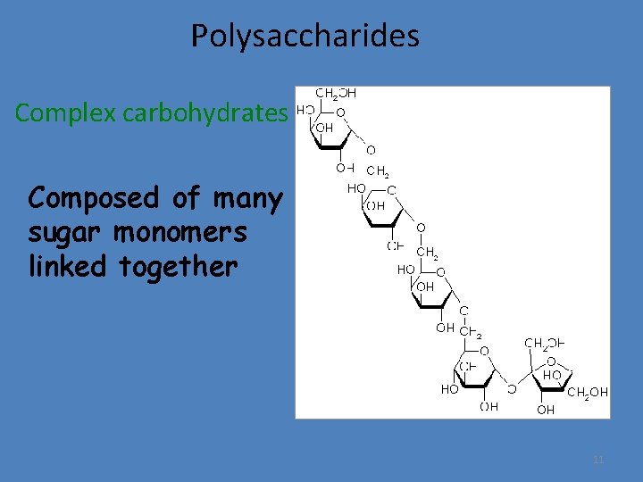 Polysaccharides Complex carbohydrates Composed of many sugar monomers linked together 11 
