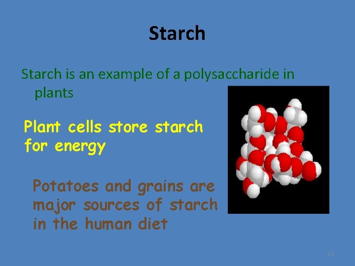 Starch is an example of a polysaccharide in plants Plant cells store starch for