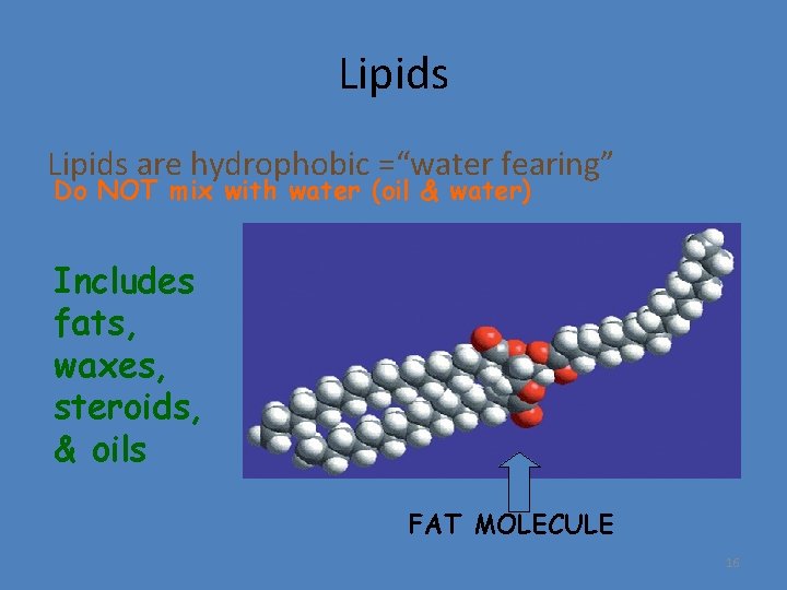 Lipids are hydrophobic =“water fearing” Do NOT mix with water (oil & water) Includes