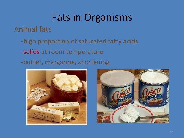 Fats in Organisms Animal fats -high proportion of saturated fatty acids -solids at room
