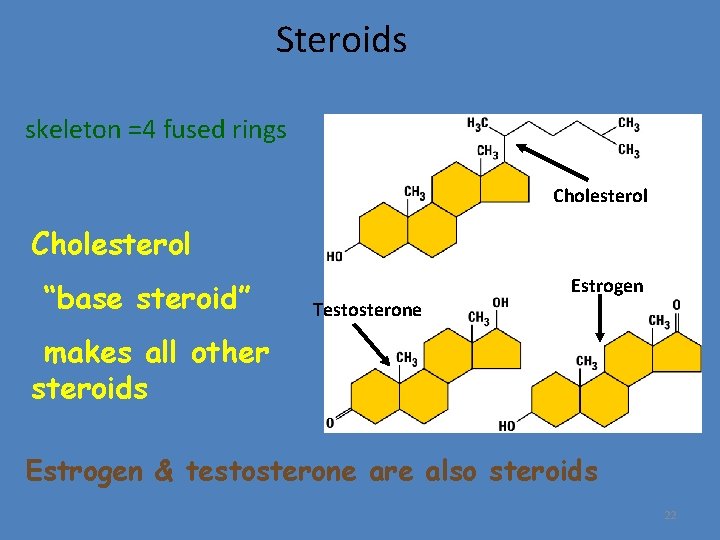 Steroids skeleton =4 fused rings Cholesterol “base steroid” Testosterone Estrogen makes all other steroids