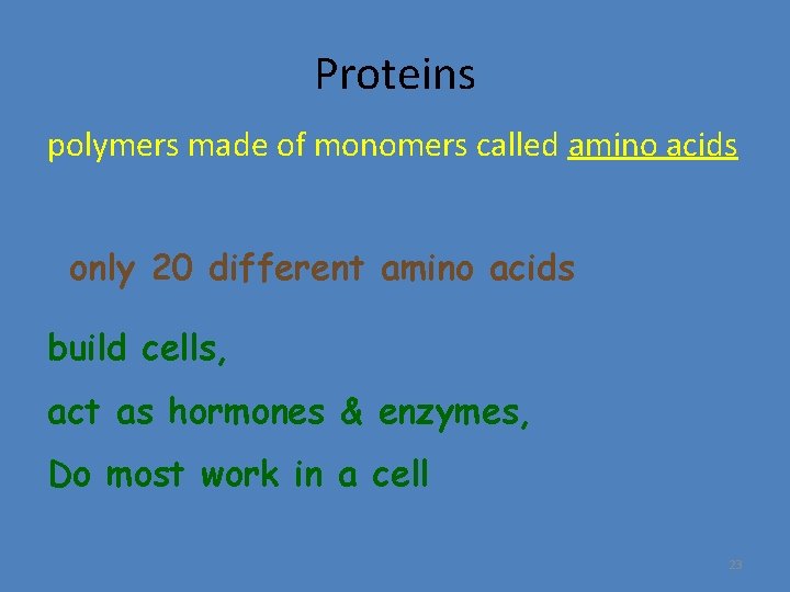 Proteins polymers made of monomers called amino acids only 20 different amino acids build
