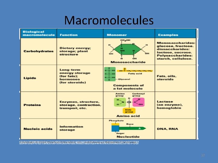 Macromolecules 37 