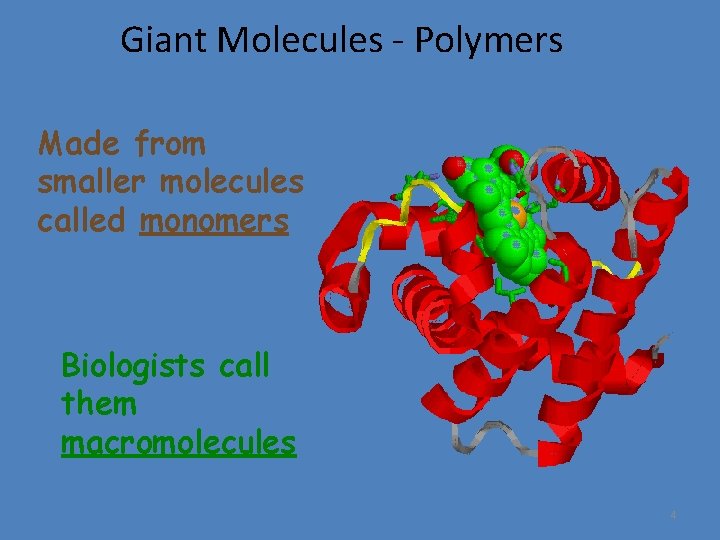 Giant Molecules - Polymers Made from smaller molecules called monomers Biologists call them macromolecules