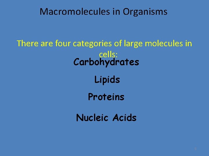 Macromolecules in Organisms There are four categories of large molecules in cells: Carbohydrates Lipids