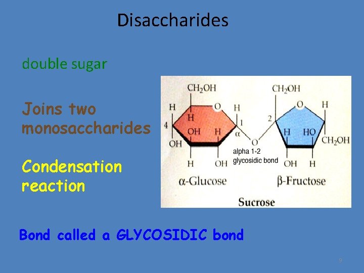 Disaccharides double sugar Joins two monosaccharides Condensation reaction Bond called a GLYCOSIDIC bond 9