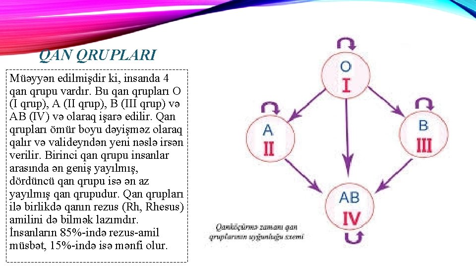 QAN QRUPLARI Müəyyən edilmişdir ki, insanda 4 qan qrupu vardır. Bu qan qrupları O