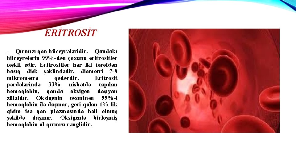 ERİTROSİT - Qırmızı qan hüceyrələridir. Qandakı hüceyrələrin 99%-dən çoxunu eritrositlər təşkil edir. Eritrositlər hər