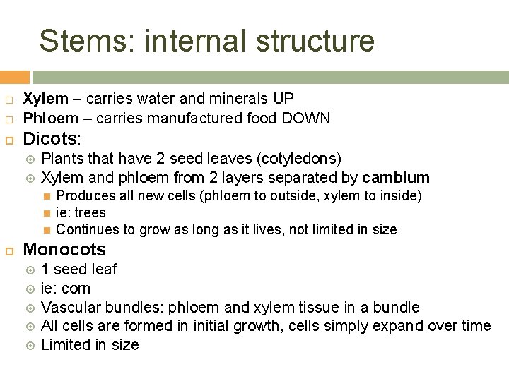 Stems: internal structure Xylem – carries water and minerals UP Phloem – carries manufactured