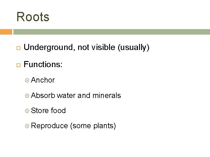 Roots Underground, not visible (usually) Functions: Anchor Absorb Store water and minerals food Reproduce