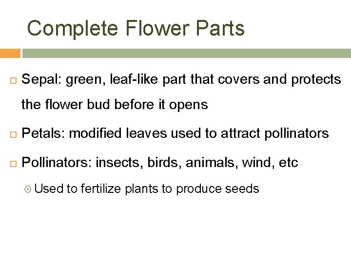 Complete Flower Parts Sepal: green, leaf-like part that covers and protects the flower bud
