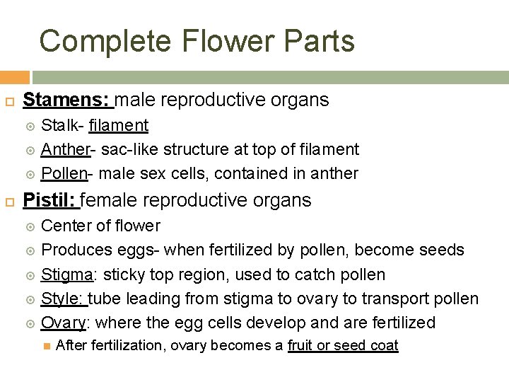 Complete Flower Parts Stamens: male reproductive organs Stalk- filament Anther- sac-like structure at top