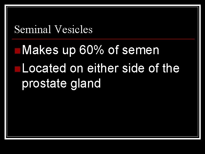 Seminal Vesicles n Makes up 60% of semen n Located on either side of