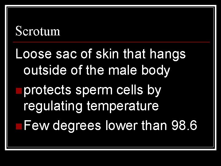 Scrotum Loose sac of skin that hangs outside of the male body n protects
