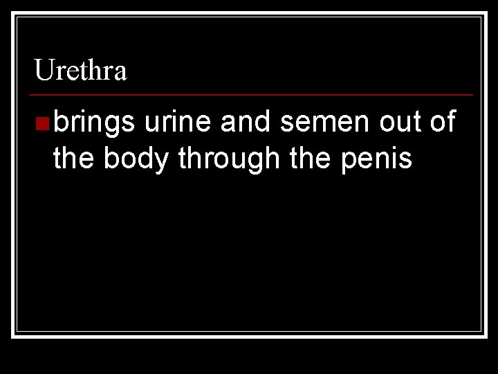 Urethra n brings urine and semen out of the body through the penis 