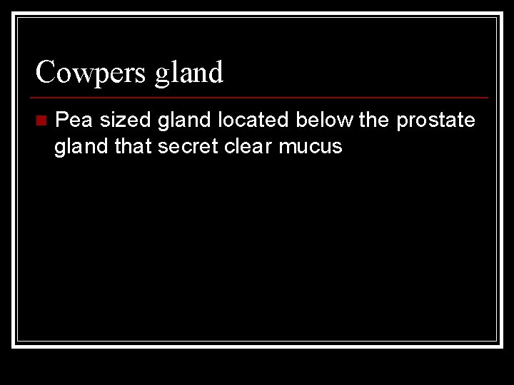 Cowpers gland n Pea sized gland located below the prostate gland that secret clear