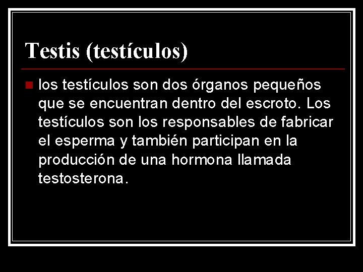 Testis (testículos) n los testículos son dos órganos pequeños que se encuentran dentro del