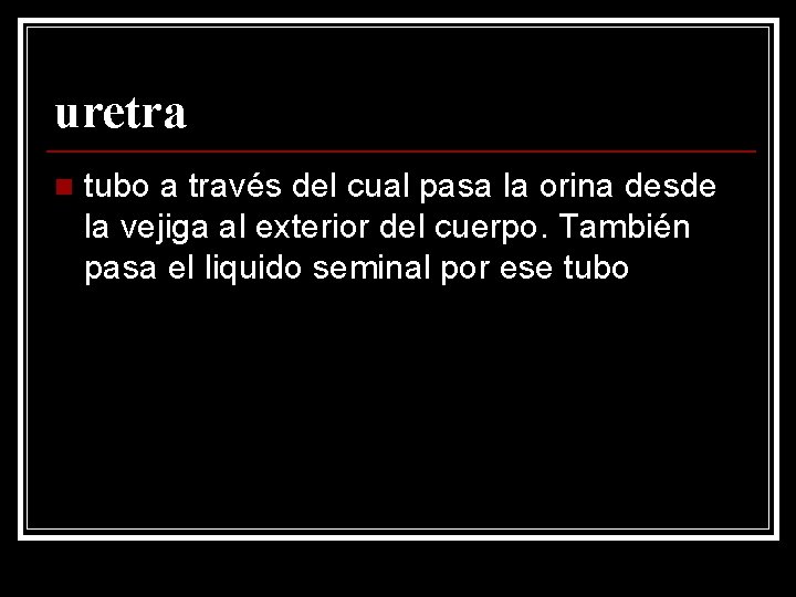 uretra n tubo a través del cual pasa la orina desde la vejiga al