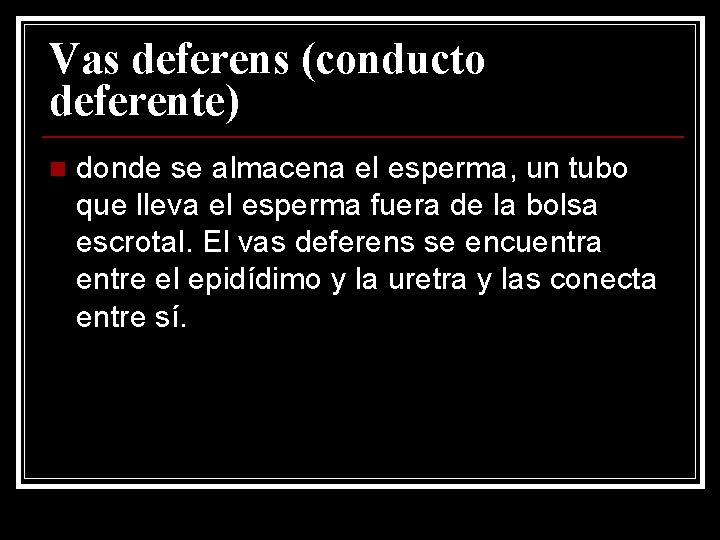 Vas deferens (conducto deferente) n donde se almacena el esperma, un tubo que lleva