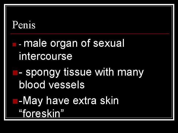 Penis organ of sexual intercourse n - spongy tissue with many blood vessels n