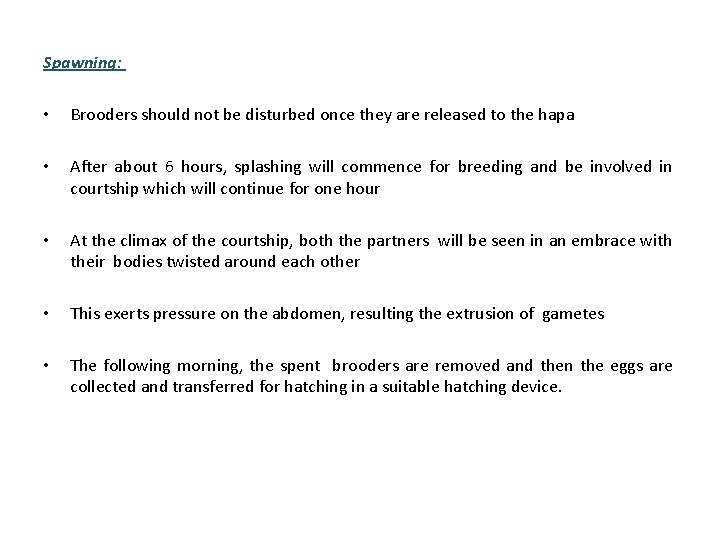 Spawning: • Brooders should not be disturbed once they are released to the hapa