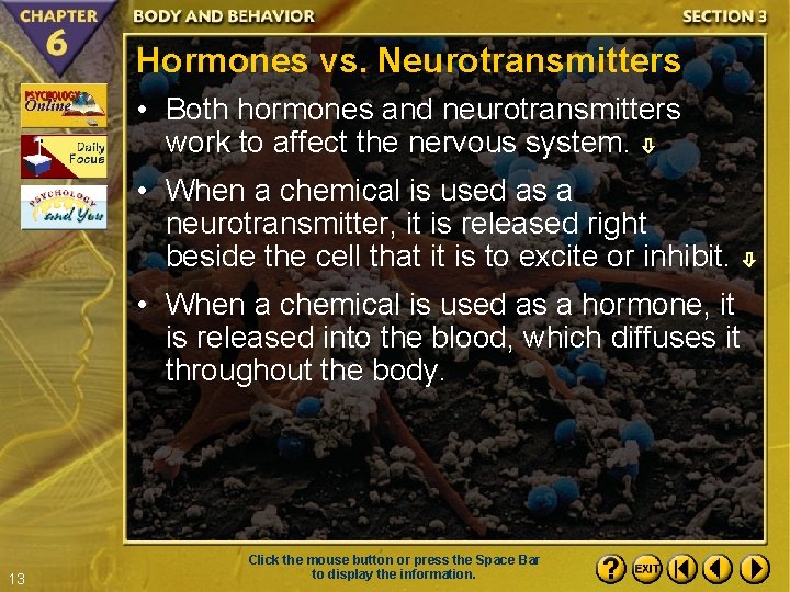 Hormones vs. Neurotransmitters • Both hormones and neurotransmitters work to affect the nervous system.