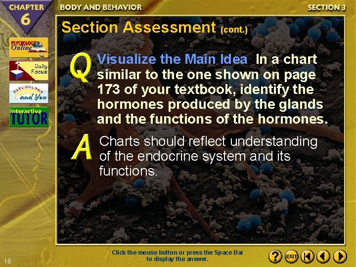 Section Assessment (cont. ) Visualize the Main Idea In a chart similar to the