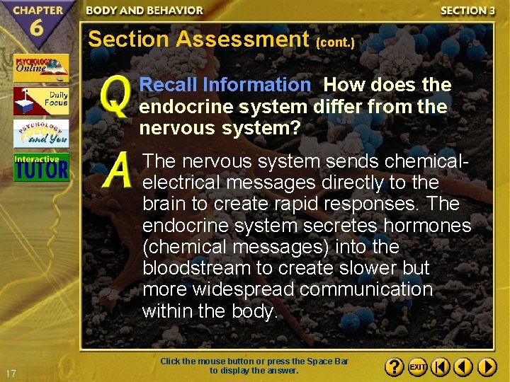 Section Assessment (cont. ) Recall Information How does the endocrine system differ from the