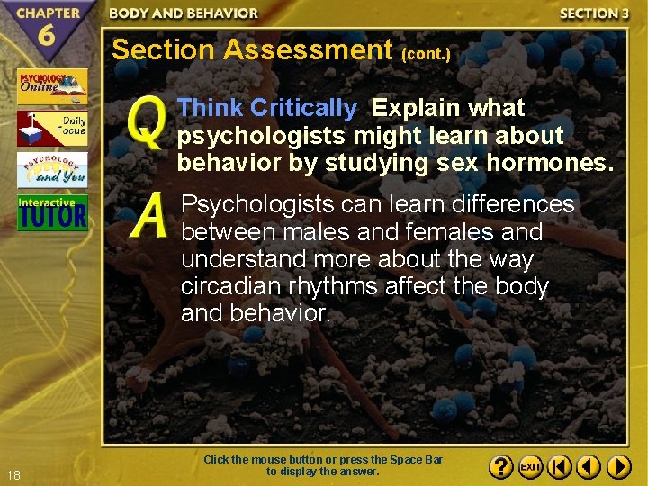 Section Assessment (cont. ) Think Critically Explain what psychologists might learn about behavior by