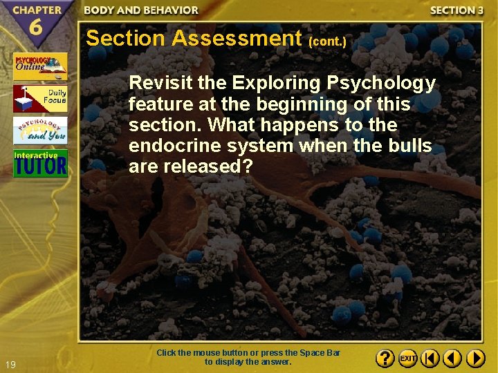 Section Assessment (cont. ) Revisit the Exploring Psychology feature at the beginning of this
