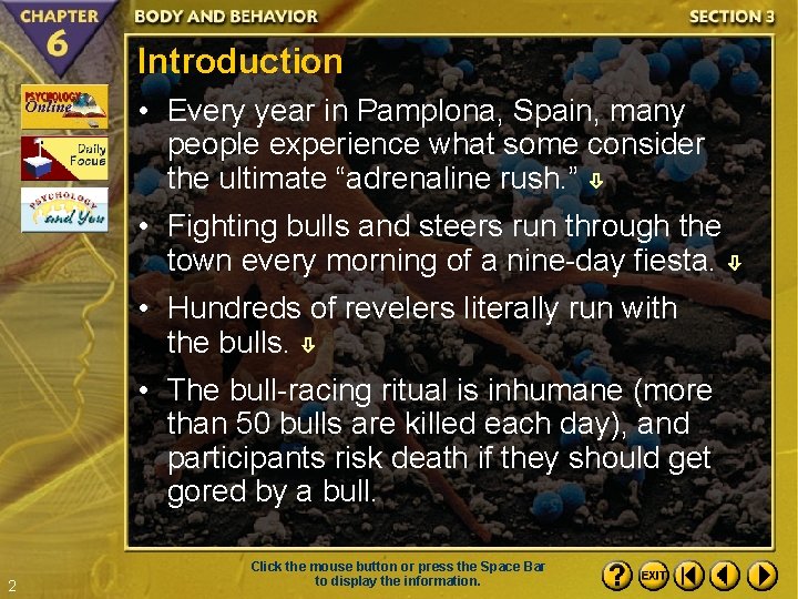 Introduction • Every year in Pamplona, Spain, many people experience what some consider the