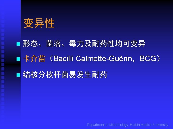 变异性 n 形态、菌落、毒力及耐药性均可变异 n 卡介苗（Bacilli Calmette-Guèrin，BCG） n 结核分枝杆菌易发生耐药 Department of Microbiology, Harbin Medical University