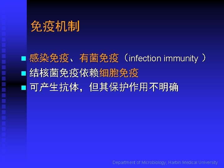 免疫机制 感染免疫、有菌免疫（infection immunity ） n 结核菌免疫依赖细胞免疫 n 可产生抗体，但其保护作用不明确 n Department of Microbiology, Harbin Medical