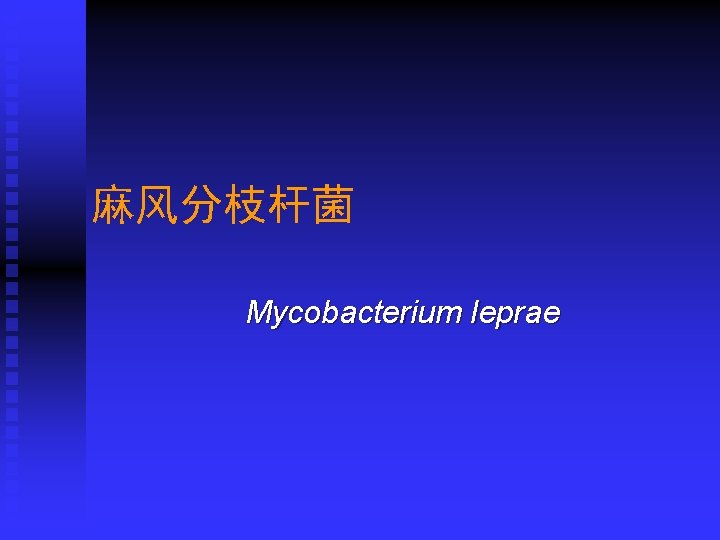 麻风分枝杆菌 Mycobacterium leprae 