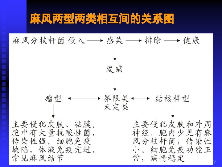 麻风两型两类相互间的关系图 Department of Microbiology, Harbin Medical University 