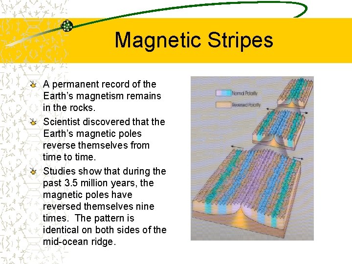 Magnetic Stripes A permanent record of the Earth’s magnetism remains in the rocks. Scientist