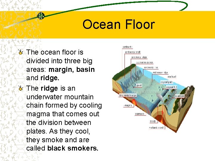 Ocean Floor The ocean floor is divided into three big areas: margin, basin and