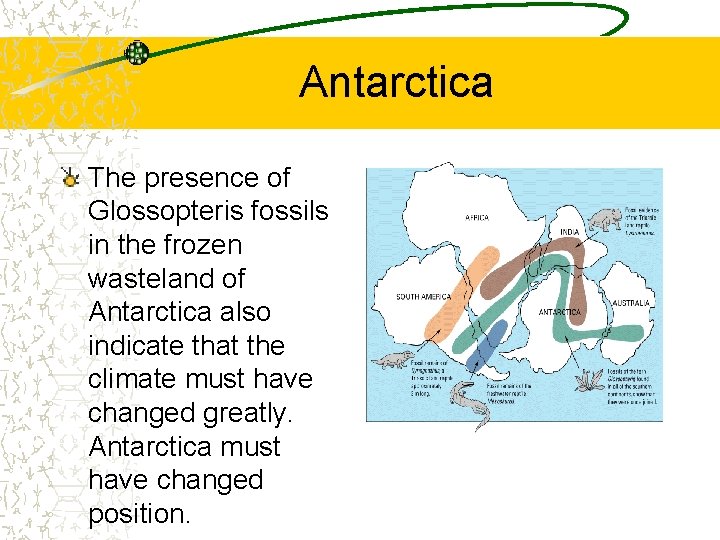 Plate Tectonics Chapter 10 1 Continental Drift Objectives